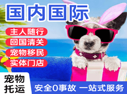洛阳北郊航空快运国际宠物托运 【国